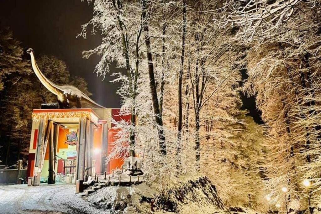 Mario'S Cozy Apartment Rîşnov Exterior foto